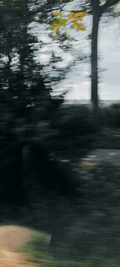 This is a vertical, motion-blurred image of a tree-lined landscape, likely taken from a moving vehicle. The foreground is dominated by dark, indistinct foliage, with streaks of light suggesting movement. In the middle ground, a tall tree trunk is visible on the right, its bark obscured by motion blur. To the left of the trunk, lighter areas of the sky and yellow leaves are visible. The background is a hazy line of what could be a body of water or distant landscape. There are no discernible people, specific objects, or actions in the frame, only the impression of a passing natural environment. The image does not provide any specific visual cues to place it in Fellbach, Germany.
