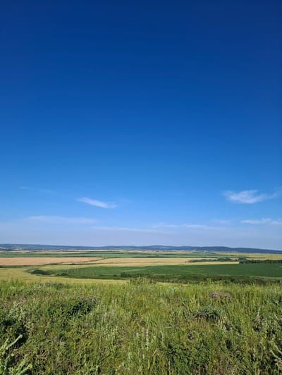 The image depicts a vast, undulating landscape under a clear, vibrant blue sky. In the foreground, a dense field of green grass and wildflowers, including some purple blooms, stretches across the bottom of the frame. Beyond this, the landscape transitions into cultivated fields of varying shades of green and golden-brown, likely wheat or barley, forming distinct geometric patterns. A small, distant town or village is visible nestled in the middle ground, characterized by scattered buildings and structures, with rolling hills forming the backdrop. The horizon is defined by a range of low, dark mountains. The overall scene is one of rural tranquility and agricultural expanse. The location is the city of Krasnaya Skala, Russia.