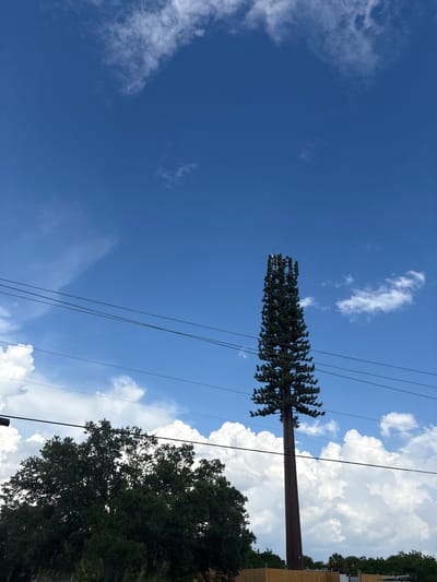 A cellular tower disguised as a tall pine tree stands against a bright blue sky with scattered white clouds. The tree-like tower is positioned to the right of the frame, its dark green foliage and segmented trunk clearly visible. Power lines run horizontally across the middle of the image, intersecting with the tower. To the left of the tower, a large, dense deciduous tree with dark green leaves is visible, partially obscuring the background. In the lower portion of the image, a wooden fence encloses an area, and more greenery, including palm trees, can be seen beyond it. The scene appears to be outdoors, in a suburban or semi-rural area.