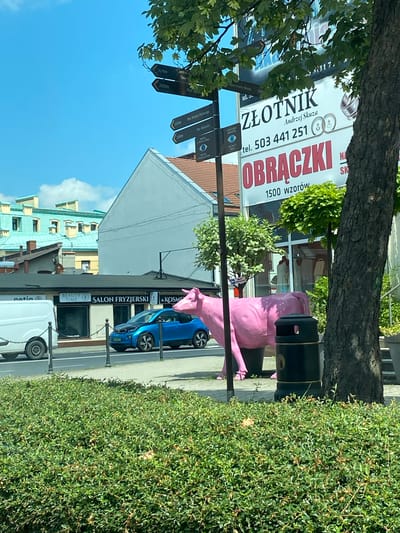 The image captures a street scene in Bielsko-Biała, Poland, on a sunny day. In the foreground, a well-maintained green hedge lines the sidewalk. Behind the hedge, a bright pink cow statue stands on the pavement. To the left of the cow, a white van is parked. A blue electric car is positioned in front of a building with storefronts. One storefront is labeled "SALON FRYZJERSKI & KOSME". A large tree trunk is prominent on the right side of the image. Above the street level, a signpost with directional arrows is visible, indicating distances to various locations. A large billboard with Polish text, including "ZŁOTNIK" and "OBRĄCZKI", is also present. The background shows buildings with distinct architectural styles, some with light-colored facades and others with light green roofing. The sky is clear blue with a few white clouds.
