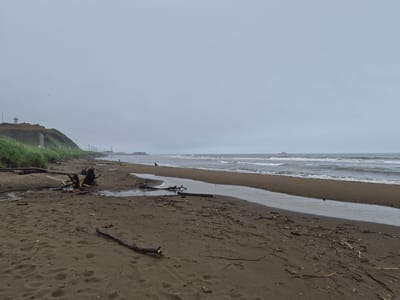A wide, sandy beach in Uglegorsk, Russia, stretches towards a gray, overcast sky. Waves roll in from a choppy sea, creating a line of white foam along the shore. Driftwood, ranging from large, gnarled branches to smaller twigs, is scattered across the sand. A small stream or tidal pool meanders across the beach, reflecting the muted sky. In the distance, a cargo ship sails on the horizon. The shoreline is backed by a grassy slope topped with a white lighthouse and a few distant buildings. There are no people visible on the beach.