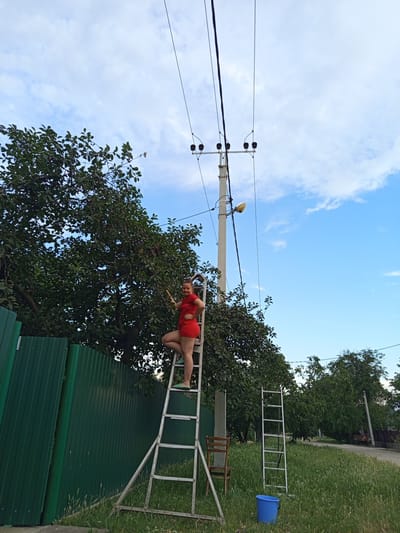 A woman in a red dress is climbing down a metal ladder in a rural setting. The ladder is leaning against a large, leafy tree. Behind the tree, a green corrugated metal fence is visible, and beyond that, more trees and a patch of tall grass. The sky is blue with some white clouds, suggesting it is daytime with fair weather. The woman appears to be the only person in the immediate vicinity. In the background, another ladder is visible on the grass, next to a blue bucket. A wooden chair and part of a wooden fence are also visible in the background. The presence of electrical wires and a utility pole above the tree suggests the location is likely a residential area or a farm. The overall scene conveys a sense of outdoor activity, possibly related to harvesting fruit from the tree or some sort of DIY project.