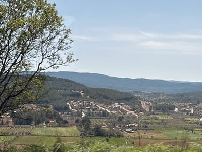 The image shows a landscape view of Menteşe, Turkey. In the foreground, there is a partially visible tree with budding green leaves on the left side of the frame and some green shrubbery along the very bottom of the image. The mid-ground consists of a valley with agricultural fields, including what appear to be olive groves and farmland divided into sections. Scattered throughout the valley and up the hillside are residential buildings, mostly modern houses with light-colored exteriors. On the hillsides, there are densely packed pine forests. In the background, rolling hills stretch across the horizon under a pale blue sky with light cloud cover.