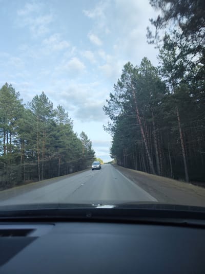 The image shows a view from inside a vehicle traveling on an asphalt road. The road is flanked on both sides by tall pine trees. In the distance, another vehicle is visible on the road ahead. The sky is partly cloudy. The dashboard of the vehicle from which the picture is taken is visible in the foreground. There is no evidence to ascertain that the location is in Bashur, Russia.