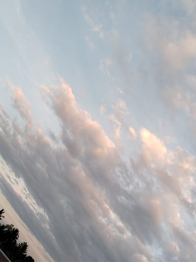 The image shows a cloudy sky with streaks of pink and white clouds, indicative of a sunset or sunrise. The sky is a pale blue, transitioning into darker gray tones towards the bottom left of the frame. Scattered throughout the sky are numerous small, dark dots, which appear to be a flock of birds in flight. In the bottom left corner, silhouetted against the sky, are the tops of several palm trees and other foliage, suggesting a tropical or coastal location. The overall impression is of a natural scene, likely captured outdoors. The provided information indicates this scene is located in Glokaron, Indonesia. There are no people or specific man-made objects clearly visible beyond the natural landscape and the flock of birds.