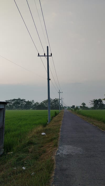 A paved road, lined with electrical poles and wires, extends into the distance through a rural landscape. To the left of the road, a lush green rice paddy field is visible, bordered by trees. To the right, the road is flanked by more greenery and trees, also with electrical poles. The sky is overcast, suggesting either early morning or late afternoon. A small, simple structure, possibly a shed or outbuilding, is partially visible on the far left of the frame. Several white plastic bags are scattered in the grass near the edge of the road. The overall scene depicts a tranquil, agricultural setting in Sumberejo, Indonesia.