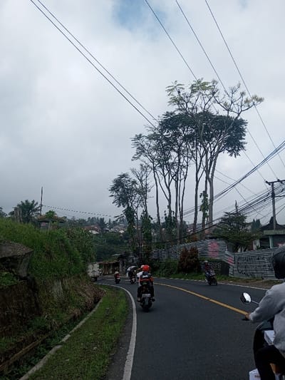 A curving asphalt road winds through a cloudy, overcast landscape. Several motorcycles are traveling along the road. Lush greenery borders the road on one side, while a fence and trees line the other. Power lines crisscross the sky above the trees. The scene depicts a common road with motorcyclists amidst the natural environment and infrastructure.