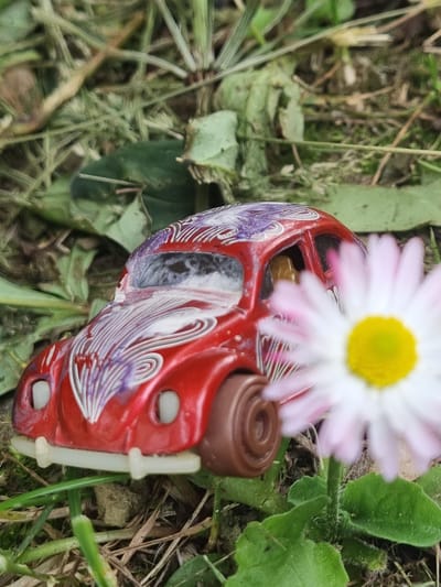 A close-up, eye-level, outdoor shot features a red toy Volkswagen Beetle car nestled amongst greenery and a white and yellow daisy. The car is positioned at a slight angle, with its front facing towards the left of the frame. The car has white and purple swirling designs on its hood and roof. The daisy is blurred and positioned in the foreground, partially obscuring the car. The background consists of grass, leaves, and dirt, suggesting a natural or garden setting. The lighting appears to be natural daylight. The location is identified as Žygaičiai, Lithuania.