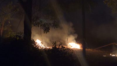 A nighttime scene showcases a low-burning fire consuming vegetation in a field or forest area. Smoke billows upwards, illuminated by the flames. Trees and plants frame the fire, with silhouettes of branches and leaves visible against the dark sky. A wooden structure is discernible on the right. The overall impression is one of uncontrolled combustion in a natural environment.