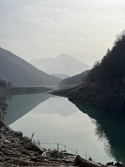 The image displays a wide, static landscape view of a mountain lake or reservoir located near Corps, France. The immediate foreground on the lower left features a substantial accumulation of dark, tangled driftwood and branches, intermingled with various rocks. Within this debris pile, partially exposed, are components of a rusted metal structure resembling a railing or fence.
The central feature is a calm body of water, colored a muted greenish-grey, which mirrors the overcast sky and the surrounding topography. To the viewer's left, a dark, rocky mountain slope descends directly to the water's edge. On the right side, a similarly dark and rocky incline rises steeply, sparsely covered with bare deciduous trees and denser evergreen conifers. Both visible shorelines exhibit significant exposed earth and rock, indicating a low water level.
Beyond the immediate water and closer slopes, multiple layers of mountains recede into a pronounced atmospheric haze, appearing progressively lighter and less defined towards the background. The sky is uniformly overcast and light grey. Three thin, dark power lines are faintly discernible stretching horizontally across the upper-mid section of the frame, positioned above the nearer mountain peaks. No human figures or active subjects are present in the scene.
