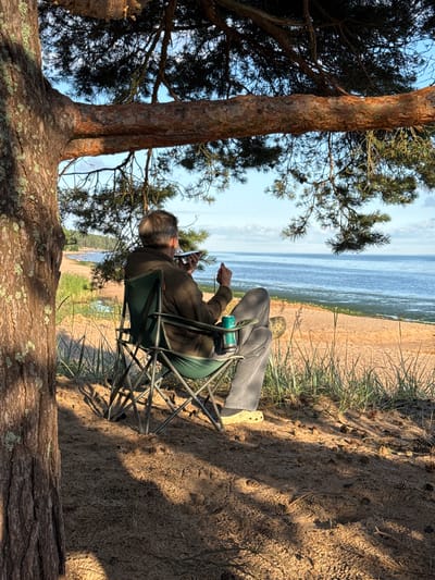 A person sits in a folding chair on a sandy beach, looking out at the sea. The person is wearing a brown jacket and grey pants. A green can sits in a holder on the chair. The beach is backed by a line of trees. Sunlight filters through the branches of a large pine tree in the foreground, casting shadows on the sand. The sky is blue with scattered clouds. The scene is peaceful and serene.