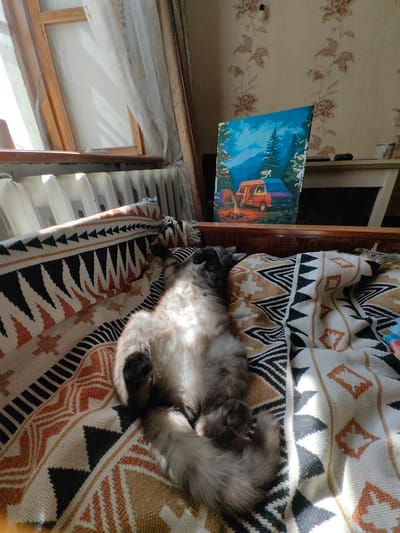 A fluffy, light-colored cat is lying on its back on a patterned blanket in a sunlit room. The blanket has geometric designs in black, white, and orange. The cat's belly and paws are visible, and it appears to be sleeping. In the background, a painting of a campsite with a van, tent, and campfire leans against a wall with floral wallpaper. A window with wooden trim and a radiator are also visible. The scene suggests a cozy, domestic setting. The location is not determinable from the image.