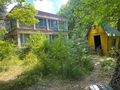 The image depicts an outdoor scene on a sunny day in the city of Shelkovo, Russia. In the foreground, a path made of dirt and dried grass leads towards two structures. To the right, a small, bright yellow wooden structure with a dark green roof resembles a shed or playhouse, featuring a decorative facade and an open doorway with what appear to be wagon wheels positioned on either side of the entrance. Further to the left and slightly behind the yellow structure stands a larger, multi-story building constructed of light brown brick. This building has numerous windows, many of which appear to be in disrepair, with some glass panes missing or broken. The structures and the surrounding area are overgrown with dense green vegetation, including trees, bushes, and tall grass, indicating a natural or semi-abandoned environment. Sunlight filters through the leafy canopy, casting dappled shadows on the ground. The overall impression is one of a somewhat neglected, naturalized setting in an urban or suburban area of Shelkovo.