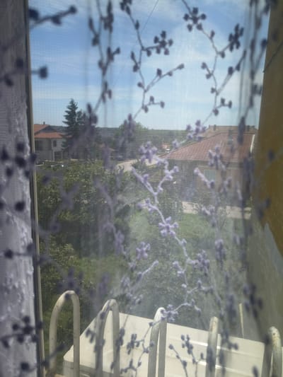 The image appears to be taken through a window covered with a patterned curtain. Outside the window, there are buildings, greenery (likely trees and grass), and what seems to be a light-colored structure, possibly a bike rack or a similar metallic object. The sky is visible in some areas, suggesting a bright day. Based on prior knowledge of the city of Kubrat, Bulgaria, without specific elements such as a notable landmark visible, it is impossible to pinpoint the exact location within the city. The focus is on the scene outside the window as viewed through the patterned curtain.