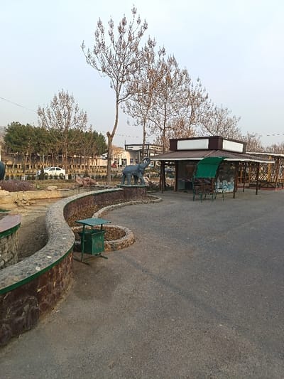 The image depicts an outdoor public space in Andijan, Uzbekistan, likely a park or recreational area, under a pale sky suggesting either an overcast day or early morning/late afternoon. The ground consists primarily of dark grey asphalt.
In the foreground, a curved, low wall constructed from brown and grey natural stones, topped with a lighter capstone and a distinct green trim, delineates an unpaved, dry earthen area. Adjacent to this wall, a green metal trash receptacle with a flat top is positioned.
The midground features a dark grey statue of an elephant, standing on a low, stone-faced platform. To the right of the elephant, an open-sided pavilion or kiosk is present, characterized by a dark brown hip roof, a white fascia, and exposed wooden columns and lattice work. In front of this pavilion, a green metal swing bench with a green fabric canopy is unoccupied.
The background is dominated by numerous deciduous trees, mostly bare or with sparse reddish-brown leaves, indicating a colder season. Further back, a dense line of dark green evergreen trees creates a visual barrier. Beyond these trees, a modern, light-colored building with a dark, flat roof is visible. A white sedan is partially discernible on a road behind the evergreen trees. Distant, light-colored hills or mountains are faintly visible on the horizon.
No individuals are present in the scene, and no actions or interactions are depicted.