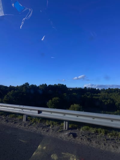 The image depicts a road scene in Заглядовка, Russia. The perspective is from a vehicle, looking out towards a bright blue sky and a dense forest. A metal guardrail runs along the right side of the image, separating the road from the embankment and the trees. The sun is shining, suggesting it is daytime, and the sky is mostly clear with a few wispy clouds. The forest is lush and green, indicating a warm season. The road surface appears to be asphalt. There are no people or specific objects of interest visible, other than the natural elements of the landscape and the guardrail. The overall impression is one of travel through a rural or natural environment.