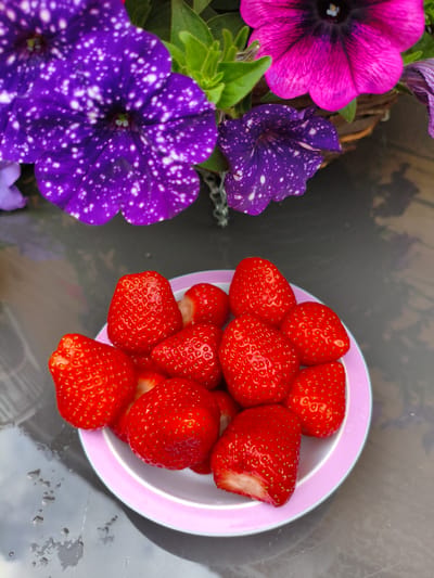 A close-up, top-down shot shows a white bowl with a pink rim filled with ripe strawberries. The strawberries are bright red with visible seeds. In the background, out of focus, are several vibrant purple petunias with white speckles and a bright pink petunia. The scene appears to be outdoors, on a reflective surface that shows water droplets and shadows, suggesting a garden setting. The location is not specified as being within the city of Wychavon, United Kingdom.