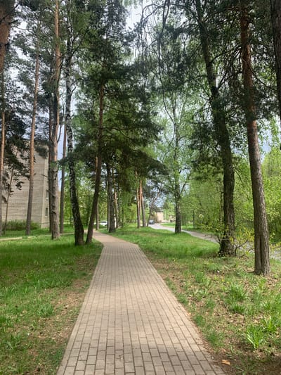 The image depicts a brick paved path in Kremyonki, Russia. The path is flanked by grass and a row of trees, including birch and pine. In the distance, buildings and a vehicle are visible. The scene is bathed in daylight.