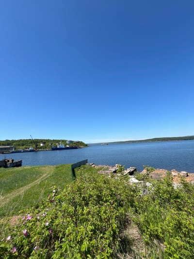 The image shows a waterfront scene under a clear blue sky. In the foreground, there is a grassy slope with a thicket of green bushes and some blooming pink flowers. A dirt path winds up the slope.
Further down, closer to the water, is a rocky shoreline with some weathered wooden structures, possibly remnants of a pier or docks. A metal object, possibly a barge or debris, sits on the grass near the water's edge. A green fence runs along a portion of the grassy area.
Across the blue water, a distant treeline forms the horizon. On the left side of the scene, along the waterfront, are several industrial elements. A large crane with a dark boom stands prominently. Various vessels, including at least one blue ship, are docked. Further inland, there are some cylindrical structures, possibly storage tanks, and buildings.
The overall impression is a working port or industrial waterfront area, with natural elements like the sky, water, and vegetation in the foreground. The location is identified as Sovetskaya Gavan', Russia.