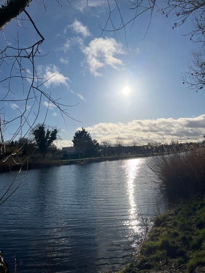 A river or canal reflecting sunlight stretches vertically through the frame. Grass and reeds line the right bank, while trees and a building are visible on the left. Bare branches frame the lower left corner. A bright sun shines in a blue sky scattered with white clouds, positioned diagonally above the river. The image is slightly tilted, creating a dynamic, off-kilter perspective.