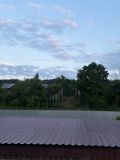The image captures a rural or semi-rural landscape with a focus on a dark reddish-brown corrugated metal roof in the foreground, partially obscuring the view of the background. This roof is angled and appears to be on a structure with a dark brown wooden side and a brick foundation. Behind this structure, a light gray corrugated metal fence stretches horizontally across the mid-ground. Beyond the fence, a dense green treeline dominates the landscape, with several houses or wooden structures partially visible amongst the foliage. One structure on the left features a weathered gray roof. A large, full-bodied tree stands prominently in the right half of the treeline. The sky above is a pale blue with scattered, soft pink and white clouds, suggesting either early morning or late evening. The overall impression is of a quiet, undeveloped area, possibly on the outskirts of the city of Semiluki, Russia. No people or animals are visible in the scene.