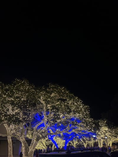 A tree is densely adorned with numerous, small, warm-white lights. Sections of its branches are illuminated with bright blue lights. The backdrop is a stark blackness, sharply contrasting with the brightly lit tree. The lower portion of the tree's trunk is visible, suggesting it is part of a larger structure or building. The lights are very numerous, creating a dense and sparkling effect.