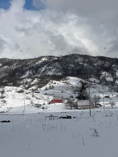 This image depicts a snow-covered, rural mountainous landscape in Donja Brezna, Montenegro, under an overcast sky with patches of blue. The foreground consists of a field covered in undisturbed white snow, from which numerous dry, dark plant stalks and branches protrude. A dark, irregularly shaped object (possibly a snow-covered rock or debris) is visible on the left, and a dark, rectangular metal frame with a tilted panel (possibly a small solar panel) stands on the right, partially covered by snow.
In the midground, several snow-covered slopes rise gently, interspersed with scattered bare trees and shrubs. Multiple utility poles with horizontal power lines traverse the scene. Visible structures include a prominent stone or concrete house with a red-tiled roof, situated centrally in the midground, flanked by bare deciduous trees and a tall evergreen tree to its left. Further left and slightly uphill, a red-roofed building (possibly a barn or outbuilding) is partially visible behind a snowy embankment, near what appears to be a winding, snow-covered road or track. Another smaller red-roofed building is visible on a higher slope to the right. Fences, likely wire or post-and-rail, delineate property lines across the midground.
The background is dominated by a large, heavily forested mountain range. The slopes are covered in dark, bare deciduous trees, with patches of snow visible between them. The mountain peaks merge with a heavy, grey cloud cover that dominates most of the sky. A distinct patch of blue sky with white clouds is visible in the upper left quadrant. No individuals or active interactions are observable in the scene. The overall environment suggests a cold, winter day.