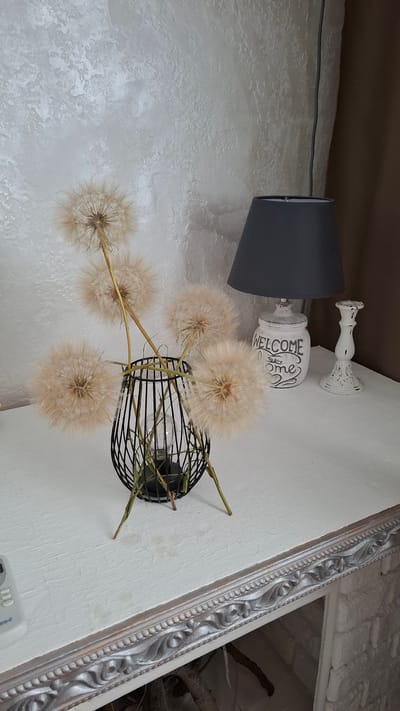 The image depicts an indoor still life arrangement against a textured white wall and a darker brown ceiling. The primary subjects are decorative objects, including a gray lampshade, a white distressed candlestick, and a white distressed jar with the word "WELCOME" and "today home" written on it. Interspersed with these are several large, fluffy seed heads, likely from a dandelion or similar plant, attached to thin stems. These seed heads are arranged in a way that suggests a decorative display, with some clustered around a black metal cage, inside of which is a light bulb. A decorative silver-toned frame is visible on the right side of the image, suggesting the presence of a mirror or picture. The scene is lit by artificial light, likely from the bulb within the cage. The overall impression is one of a rustic or shabby-chic home decor setup. There are no people visible, and the image captures a static arrangement of objects. The time of day and weather are not discernible from the image. The location context is Cherkessk, Russia, but this is not visually indicated in the image itself.