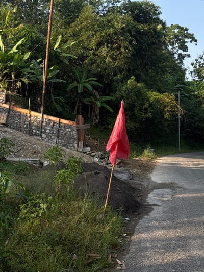 The image depicts a scene in Alian, Indonesia. A bright red plastic flag, attached to a wooden stick, is planted on the edge of a paved road. The road appears wet, suggesting recent rain or a damp environment. Beside the road, there is an area of dark soil and some rough stones, possibly indicating construction or repair work. To the left of the road and the flag, a lush green hillside is covered with dense vegetation, including large-leafed plants that resemble banana trees, and bamboo.
Further down the slope to the left, a stone staircase is visible, bordered by wooden planks. The steps are constructed from irregular grey stones. The overall setting is natural and tropical, with abundant plant life. The sunlight suggests it is daytime, likely morning or late afternoon due to the angle of the light and shadows. No people or text are visible in the image.
