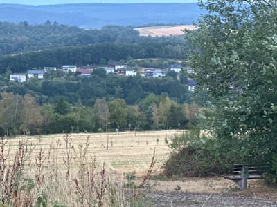 The image depicts a rural landscape with a small village nestled in a valley surrounded by lush green hills. In the foreground, dry grasses and shrubs dominate the scene, with a rustic wooden bench partially obscured by the branches of a large tree on the right. The middle ground features a harvested field, showing remnants of dried crops, and a cluster of houses with red and gray roofs, some equipped with solar panels. Beyond the village, a dense forest covers the rolling hills, leading to a pale blue sky in the distance. The overall atmosphere is serene and quiet, suggesting a peaceful rural setting in the outskirts of Wadern, Germany.