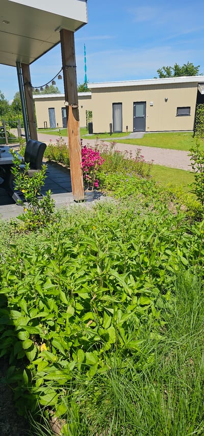 This is a landscape photo taken outdoors in Groenlo, Netherlands. The scene features a row of light yellow modern bungalows or cabins arranged linearly. Each building has dark-framed windows and doors. In front of the bungalows, there is a paved walkway. Adjacent to the walkway, there is lush green vegetation, including tall grasses and flowering plants with pink blooms. A wooden post is prominently featured in the foreground, part of a covered outdoor area, possibly a porch or patio. A dark-colored chair is visible beneath the canopy. The sky is blue with a few scattered clouds, suggesting it is daytime with pleasant weather. A light blue spiral decoration hangs from a thin line, adding a touch of color and whimsy to the scene. The overall impression is one of a well-maintained outdoor residential or holiday setting.