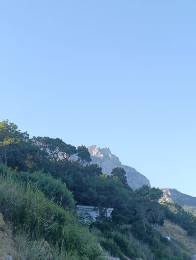 This media file depicts a natural landscape under a clear, bright sky, suggesting a daytime scene with fair weather. The foreground is dominated by lush green vegetation, including tall grasses and dense bushes, growing on a rocky incline. Further up the slope, a variety of trees with full canopies of dark green leaves are visible, some of which appear to be mature.
In the middle ground, nestled amongst the trees and foliage, is a white, rectangular structure, possibly a building or shed. It has a simple, functional design with some visible windows. The texture of the vegetation suggests a warm, possibly humid, climate.
The background features a majestic mountain range, characterized by rugged, rocky peaks and slopes that catch the sunlight, highlighting their texture and form. The mountains appear to be a significant geographical feature of the location. The sky is a solid, pale blue, indicating no clouds.
The overall impression is one of a serene and natural environment, likely a rural or mountainous area. The image does not appear to capture any people or specific events. The location cues point towards Кореизский поселковый совет, Ukraine, suggesting a natural park or hillside area within this region. There is no visible text in the image.