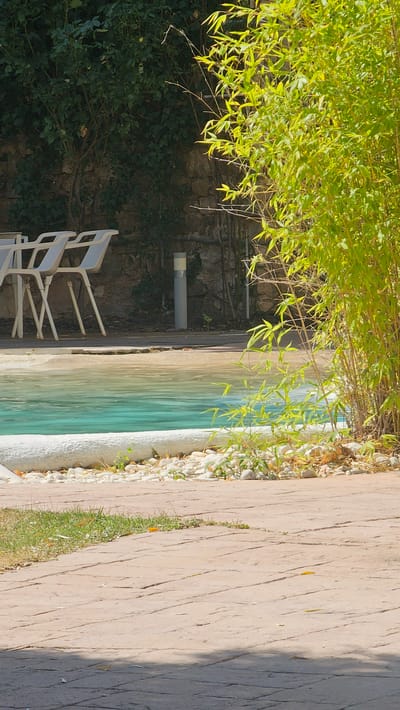 A sunlit outdoor scene features a swimming pool with turquoise water. The pool is bordered by white coping stones and a layer of small, smooth pebbles. Beyond the pool, a stone wall is visible, partially covered by dense green foliage. To the right of the pool, a clump of bright green bamboo stalks with slender leaves stands tall. In the foreground, a textured reddish-brown paved walkway leads towards the pool. Three white plastic chairs are positioned on a wooden deck next to the pool, facing away from the camera. A short, cylindrical light fixture stands on the deck near the wall. The overall environment suggests a tranquil outdoor recreational area.
