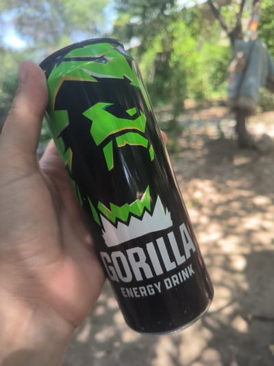 A hand holds a black and green can of "Gorilla Energy Drink" outdoors in an area with trees and foliage. The can has a stylized green gorilla face design. In the blurred background, a wooden post with some fabric draped over it is visible. The lighting suggests a sunny day. The image does not contain enough information to determine a specific location in Boraldai, Kazakhstan.