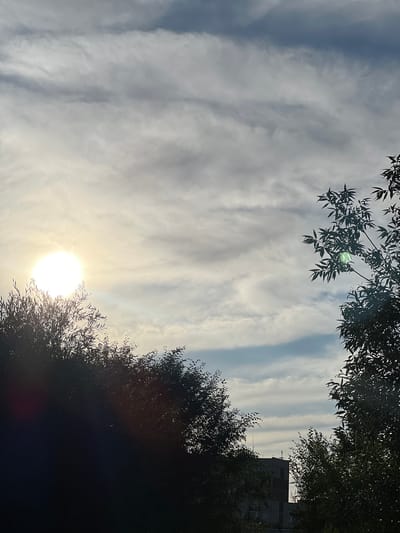 A high-angle, full outdoor shot captures a sunlit sky with wispy clouds above silhouetted trees. The sun, a bright orb, is positioned to the left, casting a bright glare. In the lower right and left of the frame, the dark silhouettes of leafy trees are visible. Between the trees in the background, a modern building with windows is discernible. The image appears to be taken in Stepnogorsk city administration, Kazakhstan.