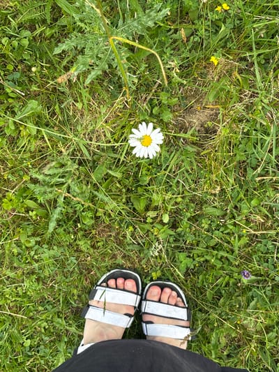 An overhead, full shot captures a person's feet wearing white and black sandals standing in a grassy field with a single daisy. The daisy is positioned centrally in the frame, with its white petals and yellow center clearly visible against the green grass. The person's feet are at the bottom of the frame, with their toes visible through the straps of the sandals. The ground is covered in lush green grass, with a variety of other plants and small yellow flowers interspersed throughout. A large, spiky plant with green leaves is visible in the upper left quadrant of the image. The overall impression is one of a natural, outdoor setting, likely in a field or meadow, with the city of Tatariv, Ukraine as the geographical context.