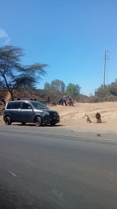 The image captures a vibrant outdoor scene under a clear blue sky, likely in a rural or semi-urban setting, taken from a moving vehicle. The primary focus is on a paved road and the unpaved shoulder alongside it, where several individuals and objects are gathered.
In the foreground and midground, a dark grey or navy blue minivan-style vehicle, possibly a Toyota Sienta, is parked on the left side of the road. It faces slightly towards the right, with its front visible. The vehicle has dark-colored steel wheels. The paved road surface beneath it is dark asphalt, showing some faint white line markings. The perspective suggests the photograph was taken from inside another vehicle, looking out.
To the right of the parked vehicle, the ground transitions to a sandy, dusty, unpaved area. Here, several people are visible. On the far left of this dirt area, beneath a sparse tree with green foliage, a few individuals are seen sitting or standing on a slightly elevated dirt bank. Further to the right, a small group of men is gathered around a red motorcycle. One man, wearing a white shirt and dark trousers, stands next to the motorcycle, while another crouches near it, suggesting they might be working on it or preparing to depart.
Further to the right on the sandy ground, a light-colored, possibly tan or beige, animal (resembling a dog) is sitting. Beyond it, a darker, roundish object rests on a small wooden crate or block. In the background on the far right, a tall utility pole with power lines extends upwards into the clear sky.
The background features more sparse vegetation, including trees and shrubs, some appearing dry, lining a low hill or rise. The sky is a bright, cloudless blue, indicating clear weather, likely midday or early afternoon given the strong sunlight. There are no discernible texts or specific brand names visible on any objects or signs.