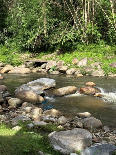 This image depicts a natural riverside scene in Pa Miang, Thailand, likely during daylight hours as indicated by the sunlight casting shadows. The foreground features a shallow, rocky river with clear, flowing water. Several large, smooth boulders are scattered along the riverbank and within the water. In the middle ground, a teal-colored camping chair is placed on a rocky outcrop by the water's edge. Behind the river, a dense, green forest with tall bamboo stalks dominates the landscape. Sunlight filters through the foliage, creating dappled light patterns on the ground and water. The overall impression is one of a serene, undeveloped natural environment.