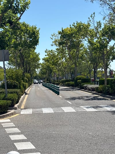 A view down a tree-lined road with a pedestrian crossing in San Sebastián de los Reyes, Spain. The road is asphalt and has a yellow line marking the edge of the lane. On the left, there are manicured hedges and a grey pole with a sign. On the right, there are more hedges and green and white bollards lining the road. Two cars are visible in the distance, driving away from the camera. The sky is clear and blue. The pedestrian crossing is painted white and is visible in the foreground and mid-ground. The image appears to be taken on a sunny day.