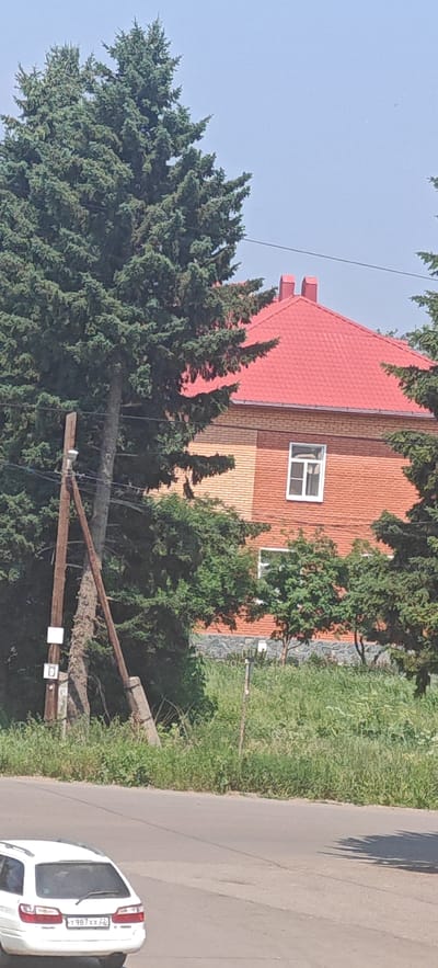In Altayskoye, Russia, a white station wagon is parked on the right side of an asphalt road. Behind the car, a densely overgrown embankment of green grass and weeds rises to meet a brick building. The building has a bright red, tiled roof with two prominent chimneys and a single white-framed window visible on its brick facade. In front of the building, large evergreen trees partially obscure the view, with a wooden utility pole and wires also present. The sky above is a clear, pale blue.