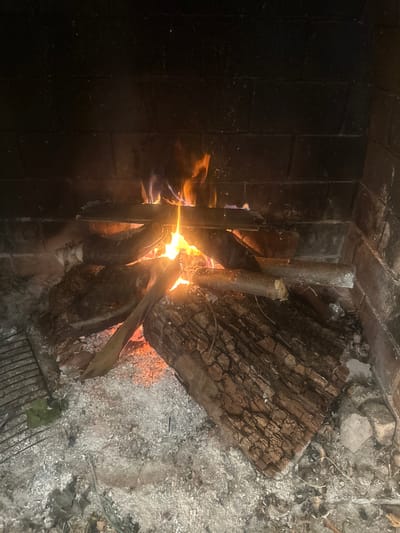 The image displays an active wood fire within a brick structure, presumed to be a fireplace or barbecue pit, located in Lampertheim, France. The background and sides consist of dark reddish-brown bricks. A central fire exhibits vibrant orange and blue flames, engulfing multiple pieces of wood. A large, textured log rests horizontally in the lower-right foreground, partially covered by ash and showing signs of charring. Smaller logs and branches are stacked centrally, directly fueling the flames. The floor of the structure is covered extensively with a layer of fine, greyish-white ash. In the lower-left corner, a metal grill grate with a square pattern is visible, partially obscured by ash and a single green leaf. The grill grate is positioned away from the immediate heat source.