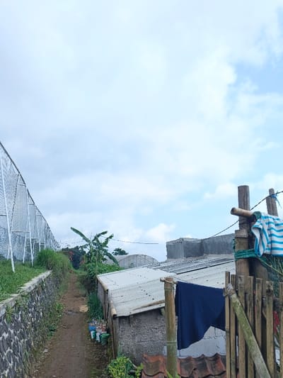 The image displays an outdoor scene in Maw Hit, Myanmar, featuring a descending dirt path under a light blue, partly cloudy sky. On the left side, a dark stone retaining wall supports an elevated grassy bank. Above this, a long, white mesh or netting fence structure, supported by white vertical posts, runs parallel to the path. On the right side, multiple structures are visible. In the immediate foreground, vertical wooden and bamboo poles form part of a rudimentary fence, with a light blue and white striped fabric draped over an upper beam and a dark blue fabric hanging from a lower bamboo pole. Behind this, simple buildings with corrugated metal roofs and concrete block walls are present. A banana tree with large green leaves stands in the mid-ground. Further in the background, several arched, translucent structures consistent with greenhouses are visible, along with a flat-topped concrete building. No individuals are depicted, and no specific actions or interactions are occurring.