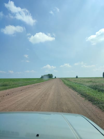 The image captures a POV shot from a vehicle traveling on a dirt road through a rural landscape under a bright, partly cloudy blue sky. The road, composed of reddish-brown dirt and gravel, stretches into the distance, appearing to curve slightly. Flanking the road on both sides are fields of green grass and crops, with a cluster of trees visible in the middle distance to the left and a solitary tree further down the road to the right. The foreground shows the hood of the vehicle, which is light blue or silver. There are no people visible in the image. The environment appears to be a dry, open, agricultural area. There is no visual information in the image that would suggest a specific location within the city of Bakhmut, Russia.