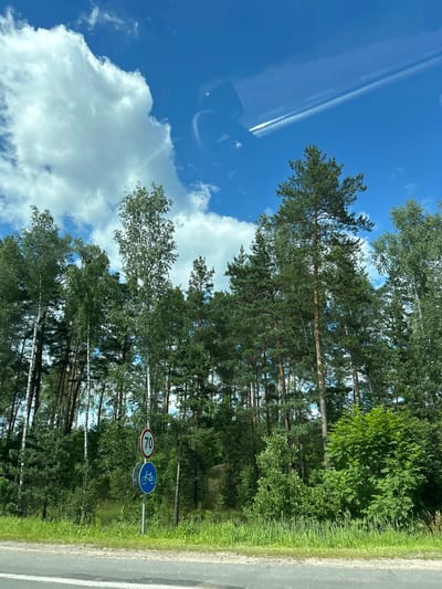 The image shows a road with trees in the background. There are traffic signs along the road, including a speed limit sign for 70 and a bicycle lane sign. The sky is blue with some clouds. The trees are mostly pines and birches. The grass is green and lush.