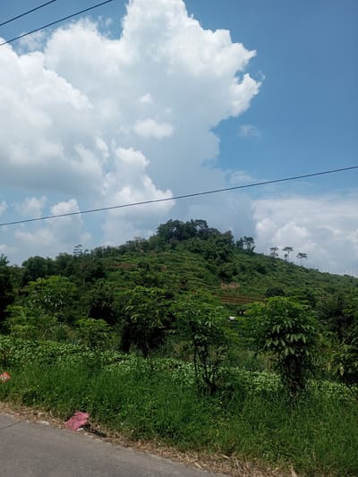 The image captures a vibrant green hillside landscape under a partially cloudy sky, likely located near Xayabury District, Laos, based on the general topography and vegetation. The hillside is covered in lush vegetation, including trees and shrubs, with some evidence of terraced farming on the slope. The sky is blue with numerous white cumulus clouds. Power lines cut across the upper portion of the frame. In the foreground, there is roadside vegetation of tall grasses. A small piece of red litter is visible near the edge of the asphalt road in the lower left of the frame.