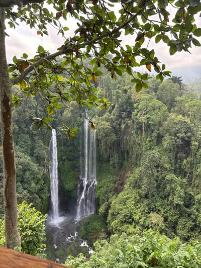 Lush green foliage frames a cascading waterfall in this nature photograph. The waterfall consists of multiple streams falling down a rocky cliff into a verdant valley. A tree branch with leaves is prominent on the left side, while dense forest covers the hills. The sky is overcast, casting a soft light on the scene. A wooden railing is visible at the bottom of the image.