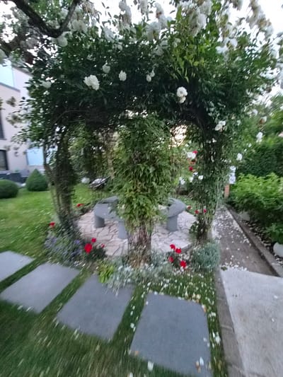 The image depicts a serene garden area with a stone pathway leading through it. White roses are in bloom, cascading over an archway. A stone table and benches are situated in the center of the garden, suggesting a place for relaxation. The garden is surrounded by lush greenery, including manicured bushes and a lawn. A building with light-colored walls and dark-framed windows is visible in the background. The overall impression is one of a well-maintained, tranquil outdoor space, possibly a private garden or a public park area in Bettembourg, Luxembourg. The lighting suggests it might be late afternoon or early evening.
