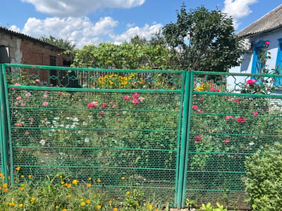 In Dondukovskaya, Russia, a vibrant garden blooms behind a green metal fence. The fence, adorned with a decorative pattern, allows a glimpse of various flowers, including pink roses and white daisies, interspersed with lush greenery. Yellow wildflowers dot the foreground, adding a cheerful touch to the scene. In the background, a brick building with a corrugated roof stands beside a light blue house with ornate windows. The sky above is a clear blue, punctuated by fluffy white clouds, suggesting a pleasant day. A large tree with dense foliage is visible on the right, casting shadows on the property. The overall impression is one of a well-tended, colorful garden in a rural setting.
