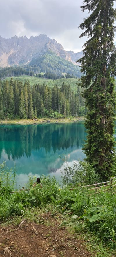 A scenic view of a clear, turquoise lake is depicted in this image, with its surface reflecting the surrounding pine forest and jagged mountains. The lake is bordered by lush green grass and vegetation in the foreground. A person with dark hair is seated facing away from the camera, looking out at the lake. The mountains in the background are rugged and imposing, with a dense forest covering their lower slopes. The sky is overcast with soft, diffused light. The location is likely Karersee (Lago di Carezza) in Welschnofen - Nova Levante, Italy, known for its stunning alpine scenery.