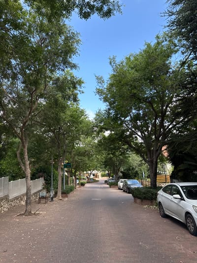 This is a straight-on, eye-level, medium shot of a street in Kfar Vradim, Israel, lined with mature trees on both sides. The street is paved with red brick-like pavers, and the sky is a clear, bright blue. On the left side of the street, there is a stone wall topped with a white slatted fence. A lone, empty metal chair with a light blue seat sits on the sidewalk near a tree. Further down the street, on the right, several cars are parked along the curb, including a white sedan in the foreground. More trees and some houses with red roofs are visible in the background. A green street sign with Hebrew writing is mounted on a pole between two trees on the left side of the road. The scene appears to be serene and quiet, with no people visible. The overall impression is one of a residential street in a well-treed neighborhood.